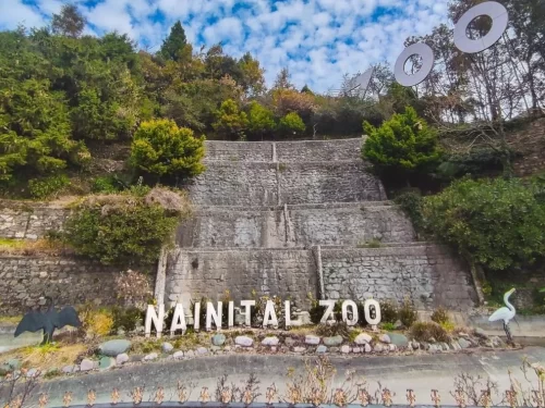 G B Pant High Altitude Zoo Nainital Himalayan wildlife park with rare mountain species and scenic hill views