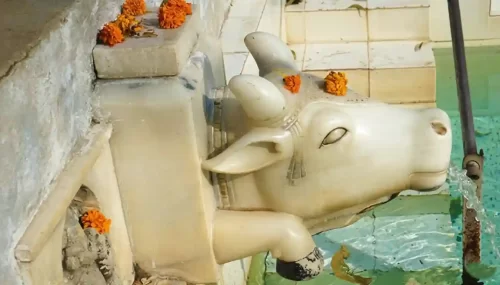 Gaumukh Temple sacred site in Mount Abu featuring a natural spring flowing through a stone cow head sculpture and ancient shrines.