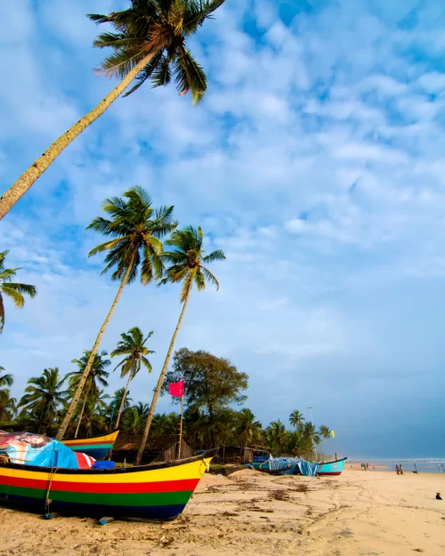 Colorful fishing boats resting on sandy shore with tall coconut palms swaying under blue sky in Goa, a charming coastal scene featured in Goa tour packages.