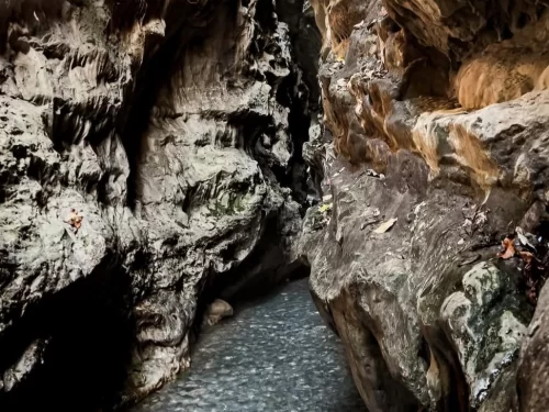 Gucchupani Robbers Cave Dehradun narrow limestone gorge with flowing stream and towering rock walls