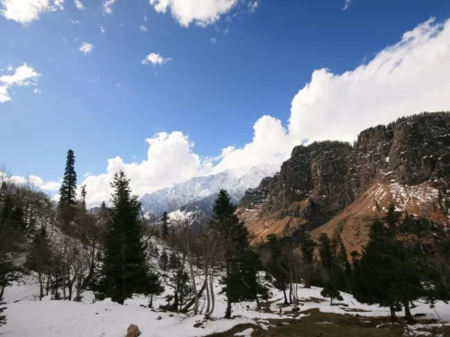 Gulaba Viewpoint Manali Winter panoramic vista, featuring snow-dusted pine trees rugged cliffs distant Himalayan peaks blue skies scattered clouds, perfect Himachal Pradesh tour packages.