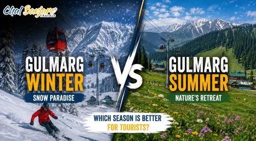 Gulmarg Winter vs Gulmarg Summer – Which Season is Better for Tourists