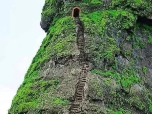 Steep rock cut staircase leading to summit cave entrance at Harihar Fort Nashik surrounded by lush green monsoon landscape 