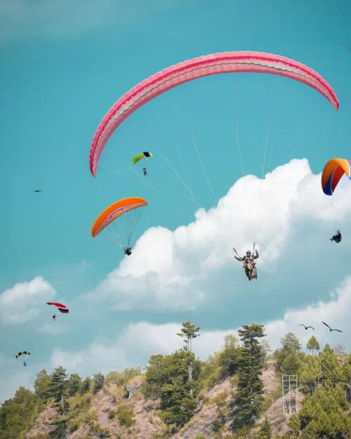 Paragliding adventure in Himachal Pradesh Tour Package featuring colorful parachutes soaring above scenic hills and pine forests under a blue sky.