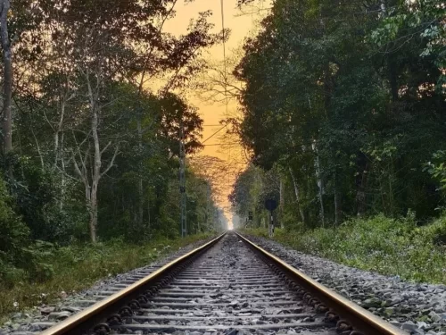 Hollongapar Gibbon Sanctuary Assam forest railway track view at sunset in protected wildlife reserve