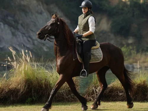 Horse Riding activity showing a woman wearing a helmet and riding gear while riding a brown horse along a grassy riverside landscape with hills in the background.