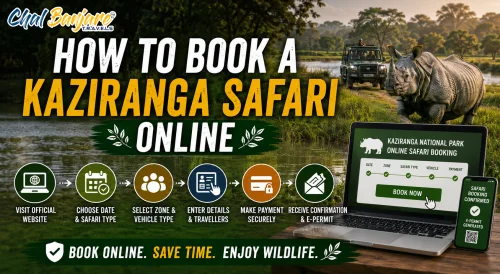How to Book a Kaziranga Safari Online