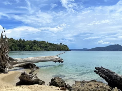 Serene Munda Pahad Beach scene with turquoise water, driftwood on the sandy shore, rocky foreground, and lush green hills meeting the calm sea under a bright blue sky.