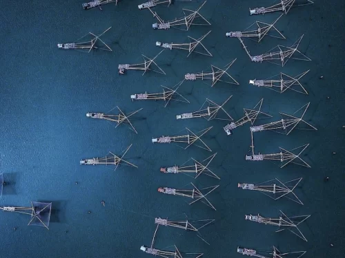 Aerial drone view of multiple Chinese fishing nets array over Vembanad Lake at Fort Kochi Kerala during twilight, featuring cantilever structures, deep blue waters, perfect Kochi tour package.