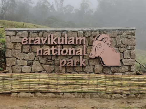 Misty entrance sign of Eravikulam National Park Munnar Kerala with stone arch Nilgiri tahr emblem surrounded by lush green shola forests rolling hills bamboo fence, perfect Nilgiri tahr wildlife trekking adventure with South India national park tour packa