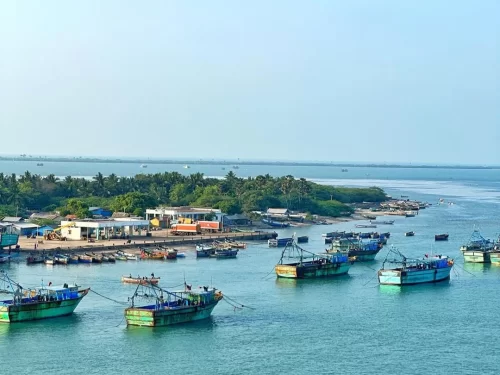 Pamban Beach Rameshwaram Tamil Nadu India fishing harbor colorful boats anchored turquoise waters jetty buildings palm trees distant horizon sea clear sunny day aerial perspective, perfect coastal fishing village tour package.