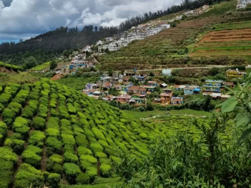 Vibrant Nilgiri Hills Tamil Nadu India hillside vista under partly cloudy skies featuring terraced tea plantations colorful clustered village homes white buildings on slopes lush green shola forests terraced fields, perfect Ooty Coonoor hill station tour 