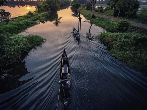 Drone aerial of houseboats navigating Vembanad Lake backwaters Kerala at sunset, featuring long wooden boats, rowers, palm-fringed canals, orange sky reflections, lush greenery, perfect serene luxury experience with Alleppey houseboat cruise tour package