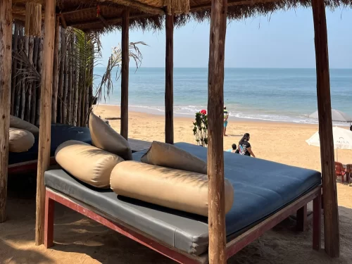 Goa Anjuna Beach bamboo thatched beach shack luxury beige cushions pillows red rose flowers blue daybed bamboo poles palm trees sandy beach ocean horizon distant people umbrellas coastal relaxation vibe tourism.