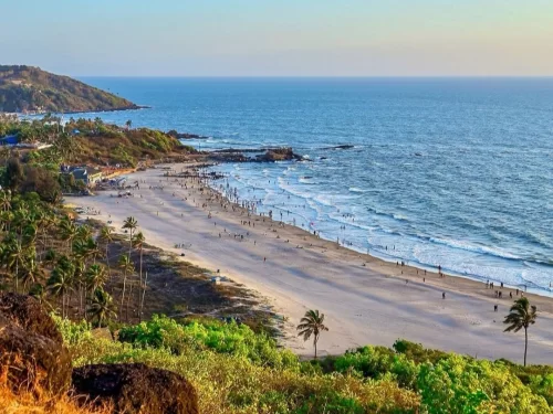 Sweeping Vagator Beach Goa from hilltop with expansive sandy shore, crashing waves, rocky headlands, palm trees and lively beach crowd during soft light, perfect iconic North Goa beach day with tour package. 