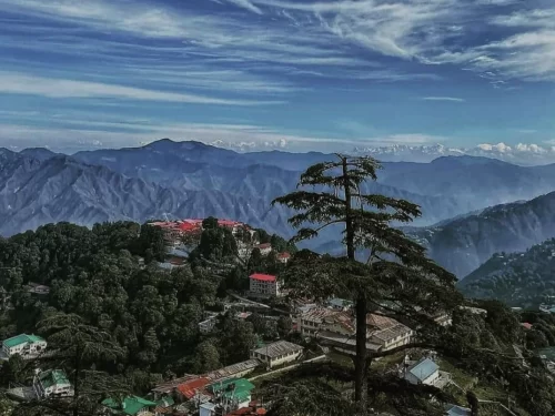 Kempty Falls Mussoorie aerial view prominent tall deodar tree foreground red roof buildings hill station campus green forests layered blue hazy mountains cloudy sky backdrop, perfect hill station panorama Uttarakhand tour packages.