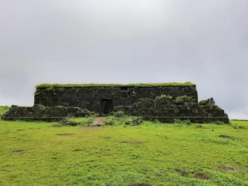 Ancient ruins at Visapur Fort during overcast monsoon, featuring moss-covered walls & green grasslands, perfect adventure experience Maharashtra tour packages.