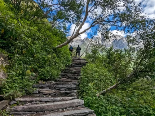 Valley of Flowers National Park stone staircase trail during clear weather, featuring two hikers ascending amid lush green bushes with towering snow-peaked mountains ahead, perfect Uttarakhand tour package.