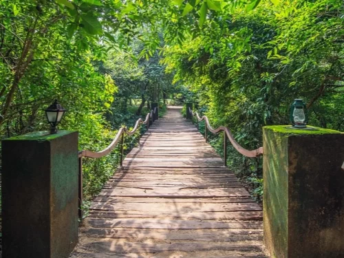 Wooden nature trail bridge at Pench Tiger Reserve during daylight, featuring lush green trees lanterns railings, perfect Madhya Pradesh wildlife safari tour package.