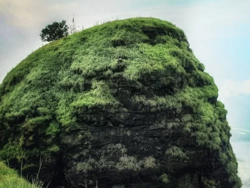 One Tree Hill Point Matheran single tree flag atop lush green misty hill rocky cliffs cloudy valleys, perfect panoramic viewpoint trek summit, Himachal Pradesh tour packages.