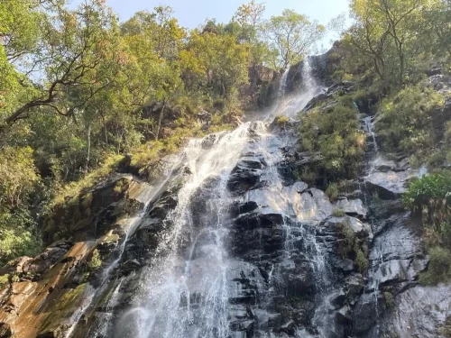 Bee Falls waterfall at Pachmarhi during sunny day, featuring lush trees rocky cliffs cascade, perfect adventure experience Pachmarhi tour package.
