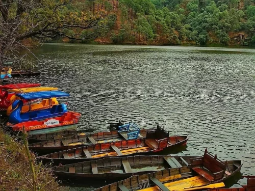 Colorful pedal boats docked at Naukuchiatal Lake Nainital during autumn afternoon, featuring oak forests and emerald waters, perfect romantic experience Uttarakhand tour package.