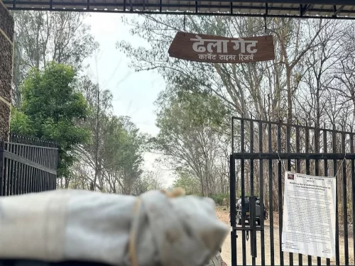 Jim Corbett National Park Dhela Gate entrance sign Hindi English, iron fence gate trees dry foliage jeep notice board foreground, perfect Uttarakhand tour packages entry point.