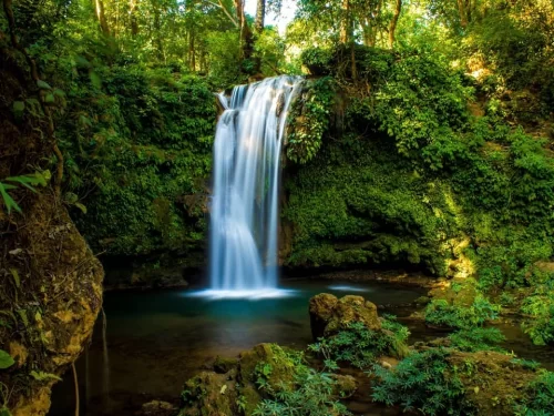 Jim Corbett Falls serene waterfall verdant rainforest turquoise pool sunlight, silky cascade leafy alcove rocks bokeh trees, perfect Uttarakhand tour packages.