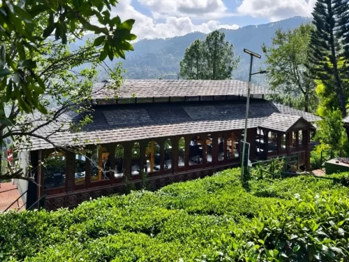 Kausani Tea Estate wooden sloped roof cafe restaurant with large windows overlooking lush green tea gardens pine mountains cloudy sky, perfect tea tasting viewpoint, Uttarakhand hill station tour packages.