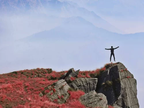 Adventurer arms outstretched at Khaliya Top Munsiyari during misty weather, featuring red grass cliff edge, Panchachuli peaks, perfect trekking adventure, Uttarakhand tour packages.