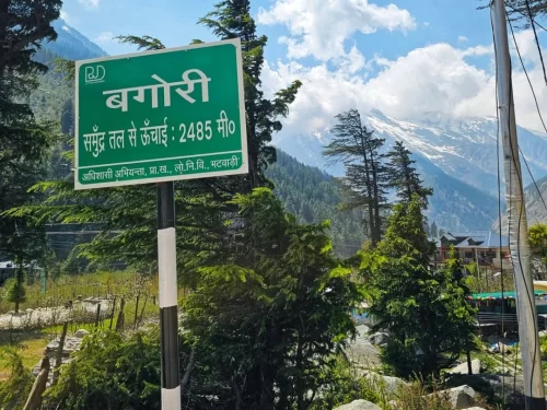Bagori Village signboard during sunny day Uttarkashi, featuring green बगोरी Bagori 2485m sign pine trees snowy mountains blue sky backdrop, perfect Uttarakhand tour packages. 