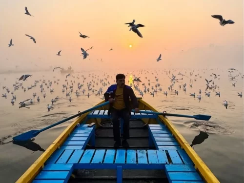 Nalbana Bird Sanctuary Chilika Lake Odisha man rowing yellow blue boat sunset migratory birds flock mist golden sky, perfect Puri birdwatching dolphin safari tour package.