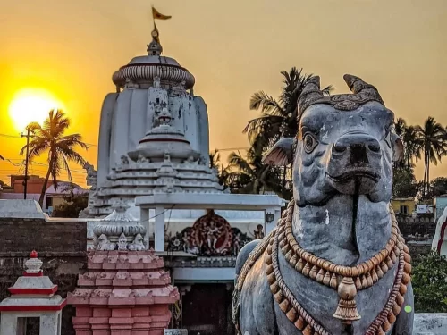 Markandeswar Temple Puri Odisha Nandi bull foreground with garland at sunset, white Odia shikhara temple behind, palm trees silhouetted against golden sun, perfect Jagannath heritage India tour package.