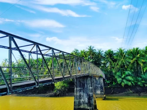 Person walking on Zuem Bridge Majuli Assam during sunny skies, featuring coconut palms, river and power lines, perfect adventure experience Majuli tour package. 