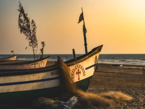 Traditional fishing boats at Arambol Beach Goa during golden sunset, featuring white-blue hulls, flags, nets on sand, calm sea, perfect serene experience with North Goa tour package.