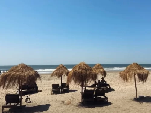 Ashvem Beach North Goa during sunny day, featuring rows of thatched beach umbrellas, sun loungers, people relaxing, sandy shore, Arabian Sea waves, perfect serene beach experience with North Goa beach hopping tour package. 