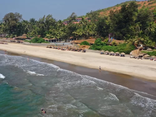 Drone aerial panoramic of Ashvem Beach North Goa during sunny day, featuring long sandy stretch, thatched shacks, sunbeds, palm coconut trees on hills, Arabian Sea waves, surfers, perfect boho beach experience with North Goa beach hopping tour package.