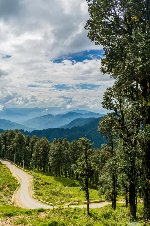 Winding mountain road through dense pine forests at Jalori Pass, Himachal Pradesh, with panoramic Himalayan views under a dramatic sky, a scenic drive featured in Himachal Pradesh tour packages.