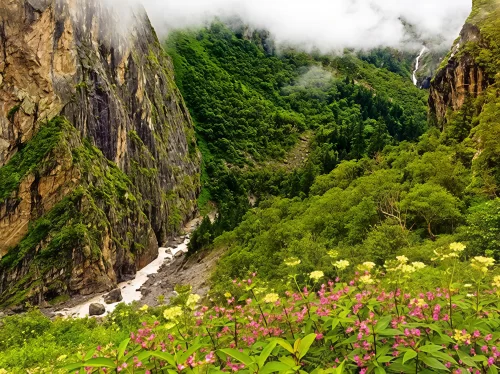 Jau Baag near Hatu Peak featuring a dramatic deep green valley with steep rocky cliffs, dense forest cover, flowing mountain stream below, and vibrant wildflowers in the foreground under misty clouds.
