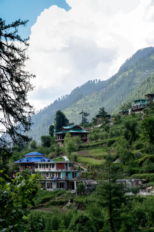 Charming hillside homes surrounded by lush greenery and pine forests in Jibhi, Himachal Pradesh, offering serene mountain views featured in Himachal Pradesh tour packages.