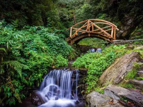 Jibhi Waterfall area Tirthan Valley Himachal Pradesh during sunny weather, featuring wooden arched bridges cascading falls lush fern green forested rocky backdrop, perfect cultural experience Himachal tour package.