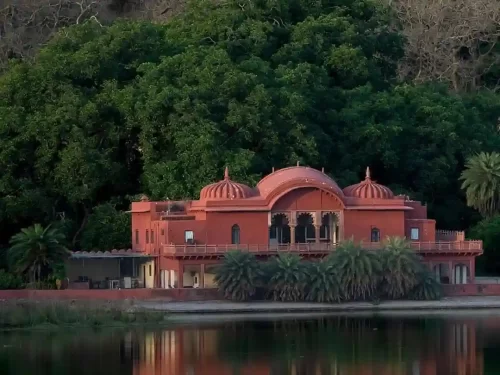 Jogi Mahal historic red sandstone hunting lodge featuring a massive ancient banyan tree and serene views of Padam Talao lake within Ranthambore National Park Rajasthan.