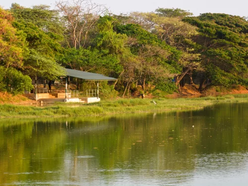 Karanji Lake in Mysore during golden evening, featuring lakeside pavilion, dense trees and calm reflections, perfect nature Karnataka tour package
