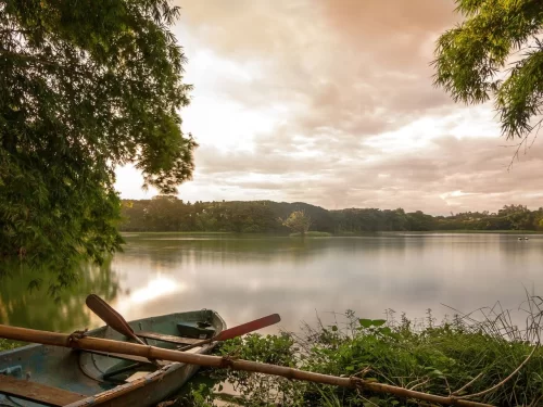 Serene green rowboat with wooden oars docked at lush tree-lined Karanji Lake Mysore during golden hour sunset, calm reflective waters distant tree canopy cloudy sky foreground reeds, perfect tranquil boating nature escape Karnataka tour package.