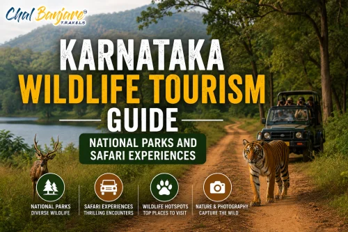 KarnatakaWildlifeTourismGuideNationalParksandSafariExperiences_17831654340.webp