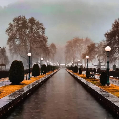 Mughal Garden pathway in Srinagar, Kashmir, lined with manicured hedges and glowing lamp posts under a misty sky, a serene attraction featured in Kashmir tour packages.