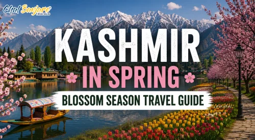 Kashmir in Spring – Blossom Season Travel Guide