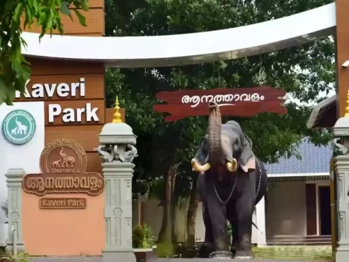 Kaveri Elephant Park, Kerala elephant sanctuary entrance with statue and heritage-style gateway