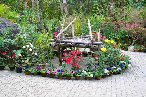 Colorful flowers around bamboo swing at Kaziranga National Orchid & Biodiversity Park during sunny day, featuring lush greenery potted plants, perfect romantic experience Assam tour package.