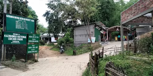 Entrance gate at Kaziranga National Orchid & Biodiversity Park during cloudy day, featuring green signboards trees pathway, perfect adventure experience Assam tour package.